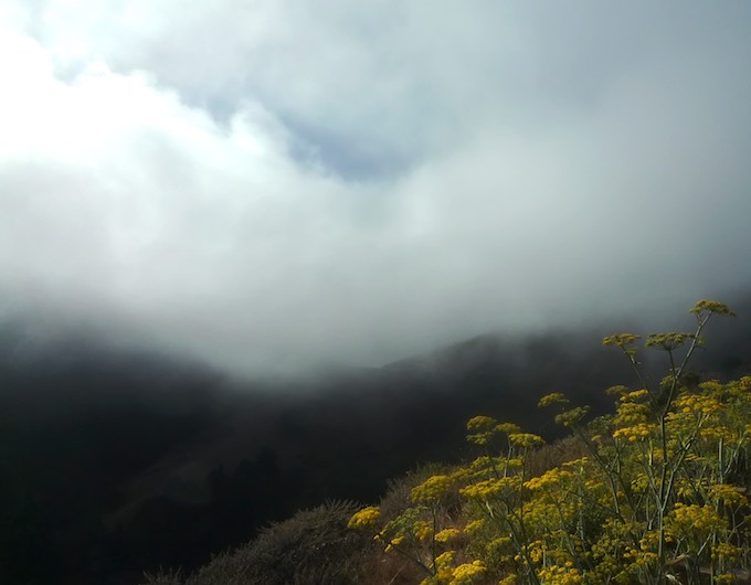 Marin Headlands in the Fog