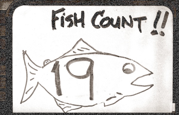 fishcount19-600