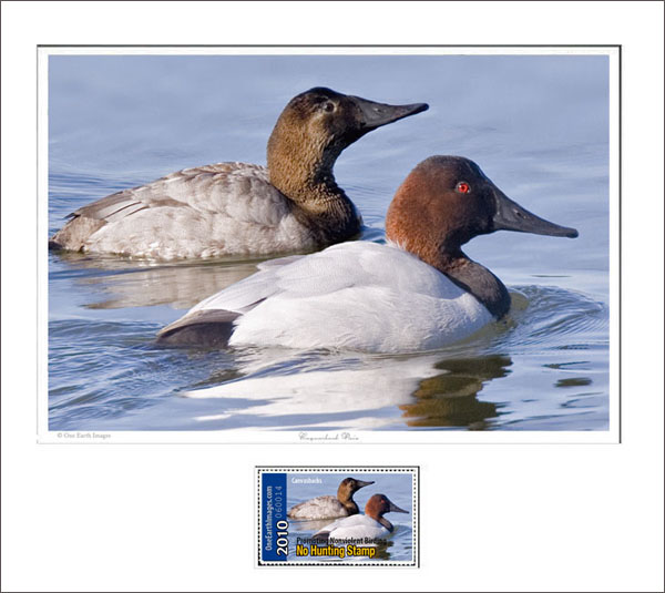 No Hunting Duck Stamp 2010