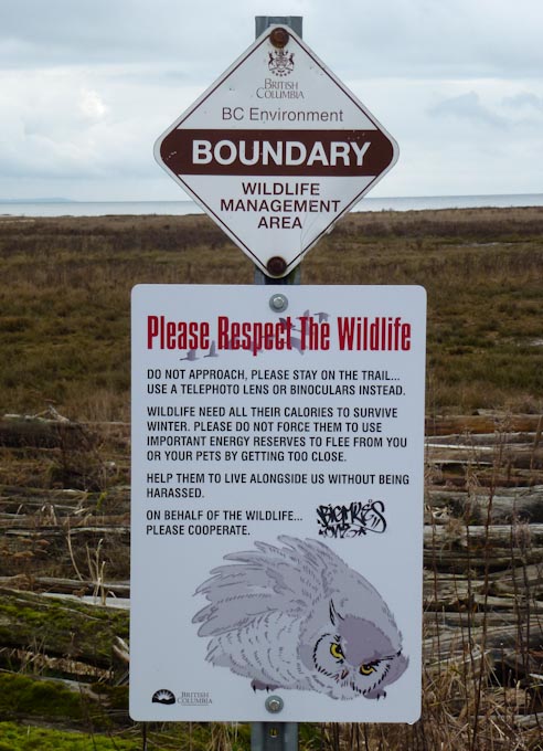Snowy Owl Warning Sign at Boundary Bay