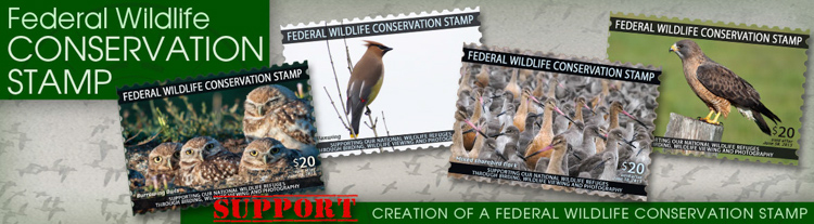 Wildlife Conservation Stamp Graphic